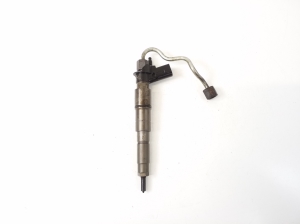   Fuel injector 