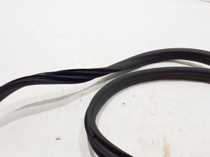 Dacia Duster P1310 (2024–2026) Front door rubber seal 769229398R - 2