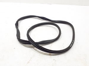 Dacia Duster P1310 (2024–2026) Front door rubber seal 769229398R - 3