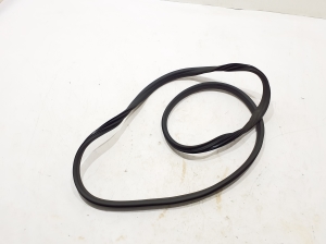 Front door rubber seal - 769229398R