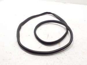 Front door rubber seal - 769229398R