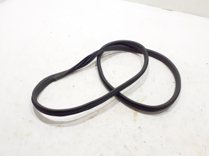   Rear side door seal on the door  - 769235234R 