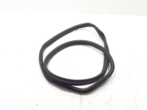   Rear side door seal on the door  - 769235234R 