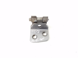   Unteres Scharnier Tür hinten  - 3422371 