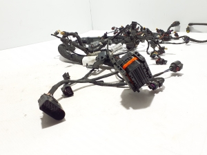AUDI A6 C8 (2018–2025) Motorkabelbaum 06N971595P - 2