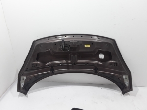 RENAULT Scenic (2009–2015) Motorhaube 651003439R - 3