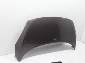 RENAULT Scenic (2009–2015) Motorhaube 651003439R - 4