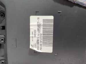RENAULT Scenic (2009–2015) Front door panel 809012867R - 5