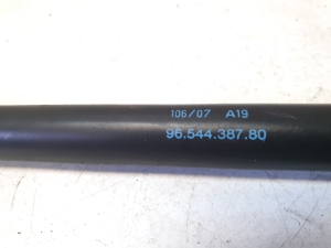 Citroen C4 Picasso (2007–2013) Heckklappendämpfer 9654438780 - 2