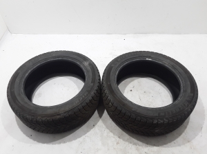 Pneus, R-18 (Hiver) - 22555R18