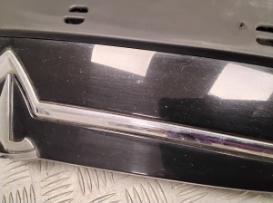 Tesla Model S S (2012–2026) Kühlergrill 101741500C - 5