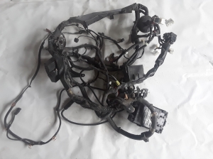 Sonstiges Kabel - 240121MA4A