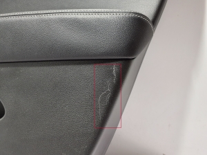 RENAULT Arkana (2019–2026) Priekšējo durvju apšuvums 809000801R - 5