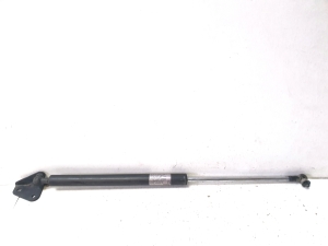 Trunk lid strut - 