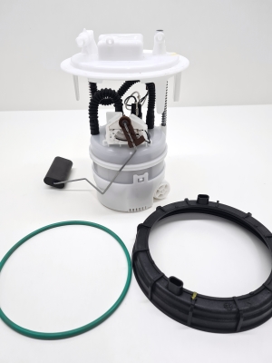 Kraftstoffpumpe im Tank - 100122813