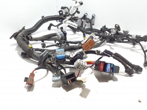 RENAULT Arkana (2019–2026) Engine wiring harness 240115401S - 5