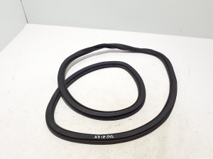 Rear side door seal on the door - 8V5833721A