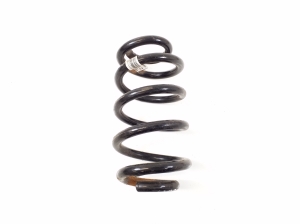 Rear spring