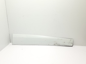 Front door molding - 11A854940D