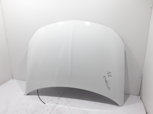 Capot - 39218147