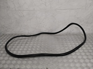 Rear side door seal on the door - A2946970400