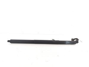 Tesla Model X X (2015–2026) Trunk lid strut 106566400A - 2
