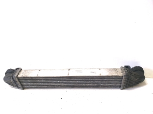 Mercedes Benz E-Class W211 (2002–2009) Vahejahuti radiaator A2115001102 - 3