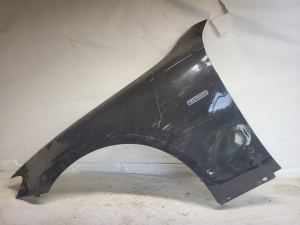 Front fender - A2138810101