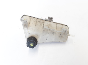 RENAULT Kangoo (2008–2020) Dzesēšanas šķidruma tvertne 8200455786 - 2
