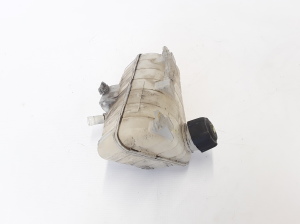 RENAULT Kangoo (2008–2020) Dzesēšanas šķidruma tvertne 8200455786 - 4