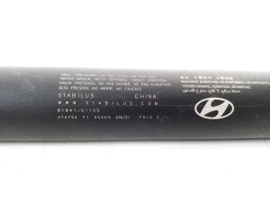 Hyundai IONIQ 5 I (2021–2026) Trunk lid strut 81841GI100 - 2