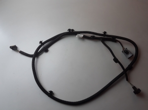 Citroen C4 Picasso (2013–2018) Nebelscheinwerferkabel vorne 9816191680 - 3