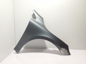 Front fender - 31301262