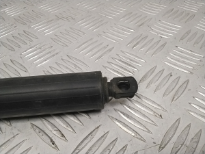 Ford Mustang Mach-E Mach-E (2020–2026) Trunk lid strut LJ8BR402A54AD - 2
