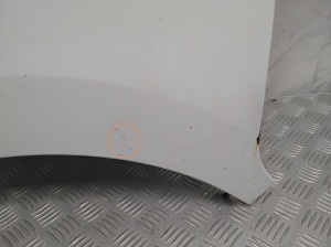 RENAULT Master III (2010–2017) Front fender - 4