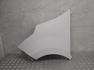 RENAULT Master III (2010–2017) Front fender - 7