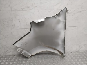 RENAULT Master III (2010–2017) Front fender - 4