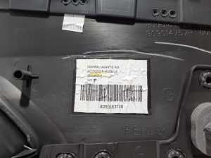 Verkleidung Tür vorne - 809018373R