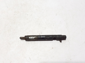 Injektor Einspritzdüse - 166000897R