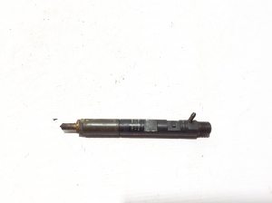 Injektor Einspritzdüse - 166000897R