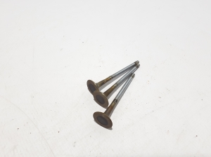   Sisselaskeklapp  - 06M109601G 