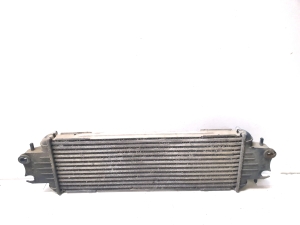 RENAULT Trafic II (2001–2014) Vahejahuti radiaator 7700312903 - 2