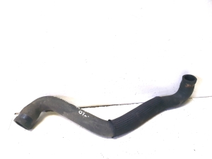 Wasserschlauch Kühler - 