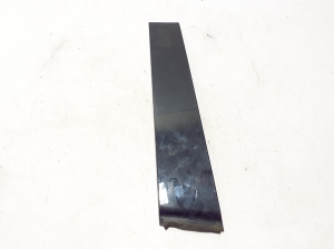   Baguette extérieure de vitre de porte arrière 