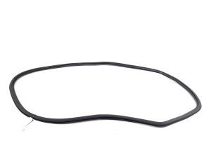   Rear side door seal on the door  - 5E9867367D 