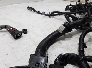 NISSAN Qashqai J-12 (2021–2026) Engine wiring harness 240116RA2C - 2