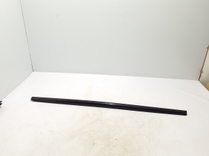   Baguette extérieure de vitre de porte avant 