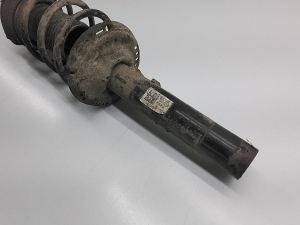 Volkswagen Tiguan (2017–2026) Front shock absorber and its components 5QF413031AT - 2