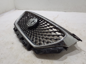 MG, ZS II (2017–2026) Front grille 10021164 - 2