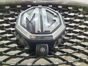 MG, ZS II (2017–2026) Front grille 10021164 - 4